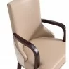 Manhattan Comfort Shubert Modern Faux Leather and Velvet Dining Armchair in Tan Arm View - Manhattan Comfort Shubert Modern Faux Leather and Velvet Dining Armchair in Tan Arm View