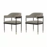 Manhattan Comfort Modern Lia Chenille Dining Armchair - Set of 2 Stone - Manhattan Comfort Modern Lia Chenille Dining Armchair - Set of 2 Stone