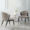 Manhattan Comfort Modern Ola Chenille Dining Chair In Stone- Set of 2 - Manhattan Comfort Modern Ola Chenille Dining Chair In Stone- Set of 2