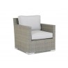 Majorca Club Chair With Cushions In Cast Silver 