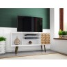  Liberty 53.14" Mid Century - Modern TV Stand with 5 Shelves and 1 Door - Lifestyle