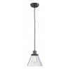 Glass Pendant With 10 Feet Cord - Black/Brushed Brass - Clear Glass