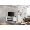 Liberty 42.52" Mid Century - Modern TV Stand with 2 Shelves and 1 Door - White - Lifestyle