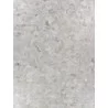 Natural Hide Cowhide Ivory Area Rug 2145-05 - Natural Hide Cowhide Ivory Area Rug 2145-05