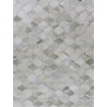 Natural Hide Cowhide Silver/Ivory Area Rug 2151-02