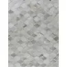 Natural Hide Cowhide Silver/Ivory Area Rug 2151-02 - Natural Hide Cowhide Silver/Ivory Area Rug 2151-02