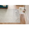 Natural Hide Cowhide Silver Area Rug 2161-08