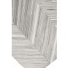 Natural Hide Cowhide Silver Area Rug 2162-03