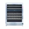 Summerset Grills 24 Outdoor Rated Dual Zone Wine Cooler - Front Closed and Empty - Summerset Grills 24 Outdoor Rated Dual Zone Wine Cooler - Front Closed and Empty