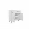 Manhattan Comfort Eiffel 28.35" Mobile Garage Storage Cabinet with 1 Drawer in White Gloss Open - Manhattan Comfort Eiffel 28.35" Mobile Garage Storage Cabinet with 1 Drawer in White Gloss Open