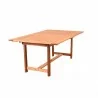 Amazonia Damian - Extending Table - Amazonia Damian - Extending Table