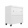 Manhattan Comfort Fortress Textured Metal 31.5" Garage Mobile Cabinet with 1 Full Extension Drawer and 2 Adjustable Shelves in White Back - Manhattan Comfort Fortress Textured Metal 31.5" Garage Mobile Cabinet with 1 Full Extension Drawer and 2 Adjustable Shelves in White Back