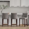 Manhattan Comfort Modern Shubert Counter Stool Upholstered In Dark Taupe Leatherette with Beech Wood Legs - Set of 3