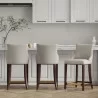 Manhattan Comfort Modern Shubert Counter Stool Upholstered In Light Grey Leatherette with Beech Wood Legs - Set of 3 - Manhattan Comfort Modern Shubert Counter Stool Upholstered In Light Grey Leatherette with Beech Wood Legs - Set of 3