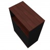 Manhattan Comfort Mosholu Accent Cabinet with 3 Shelves in Black and Nut Brown Top