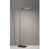 Adesso Barrett LED Floor Lamp