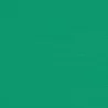 Sunbrella Awning- Erin Green - Sunbrella Awning- Erin Green