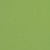 Canvas Ginkgo - Canvas Ginkgo
