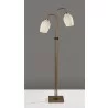 Adesso Clara 2 Light Floor Lamp 2 - Adesso Clara 2 Light Floor Lamp 2