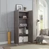 Manhattan Comfort Hopkins Modern Storage Closet 3.0 In Grey - Manhattan Comfort Hopkins Modern Storage Closet 3.0 In Grey