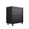 Manhattan Comfort Fortress Textured Metal 31.5" Garage Mobile Cabinet with 2 Adjustable Shelves in Charcoal Grey Back