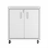 Manhattan Comfort Fortress Textured Metal 31.5" Garage Mobile Cabinet with 2 Adjustable Shelves in White Front - Manhattan Comfort Fortress Textured Metal 31.5" Garage Mobile Cabinet with 2 Adjustable Shelves in White Front