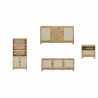 Manhattan Comfort Sheridan Modern Cane 4-Piece Set: Bookcase, TV Stand, Sideboard, End Table Nature