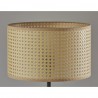 Adesso Colton Floor Lamp1