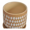Moe's Home Collection Botanical Planter Natural in 4.5IN - Front Top Angle