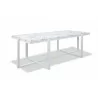 Rectangle Coffee Table With Honed Carrara Marble Top, Frost - Rectangle Coffee Table With Honed Carrara Marble Top, Frost