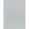 Exquisite Rugs Kashmir INDOOR/OUTDOOR Handmade Flatwoven PET Yarn Ivory 