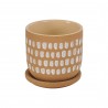 Moe's Home Collection Botanical Planter Natural in 4.5IN - Front Angle