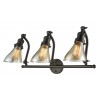 Angle Glass Double Swivel Vanity Light