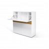 TemaHome Focus Workstation in Pure White & Oak - Desk Type Setup