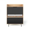TemaHome Lime Desk in Oak & Pure Black - Front and Closed