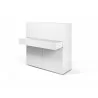 TemaHome Focus Workstation in Pure White - Angled View - TemaHome Focus Workstation in Pure White - Angled View