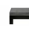 TemaHome Detroit Bench in Concrete & Pure Black - Edge Close-up - TemaHome Detroit Bench in Concrete & Pure Black - Edge Close-up