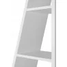 Shelf Detail - Shelf Detail