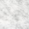 Swatch - White Marble