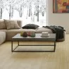 TemaHome Petra 47x30 Coffee Table - Lifestyle - TemaHome Petra 47x30 Coffee Table - Lifestyle