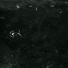 Swatch - Black Marble & Chrome - Swatch - Black Marble & Chrome
