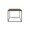 TemaHome Gleam 20x20 Wood Top Side Table in Walnut & Black - Front