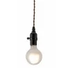 Zuo Modern Molly Ceiling Lamp Black - Bulb Close-up - Zuo Modern Molly Ceiling Lamp Black - Bulb Close-up