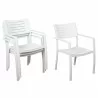 Atlantic Noordam Chair - White Stacked - Atlantic Noordam Chair - White Stacked