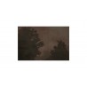 Alder Framed Painting-front view 2