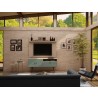 Manhattan Comfort Tribeca 53.94 Mid-Century Modern TV Stand and Panel with Media and Display Shelves in Off White and Green Mint