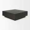 Mercana Hayden Dark Brown Wood Square Coffee Table 1 - Mercana Hayden Dark Brown Wood Square Coffee Table 1