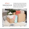 Lagoon Magnolia Rattan Club Chair - Brochure