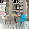 Sensilla Stack-able Dinning Chair - Lifestyle 1 - Sensilla Stack-able Dinning Chair - Lifestyle 1