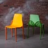Papillon Stylish Dinning Chair - Lifestyle 3 - Papillon Stylish Dinning Chair - Lifestyle 3